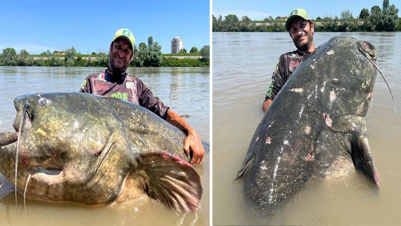 World Record Broken: Massive 9 ft 4¼in Fish Caught in Italian River After Intense 43-Minute Struggle