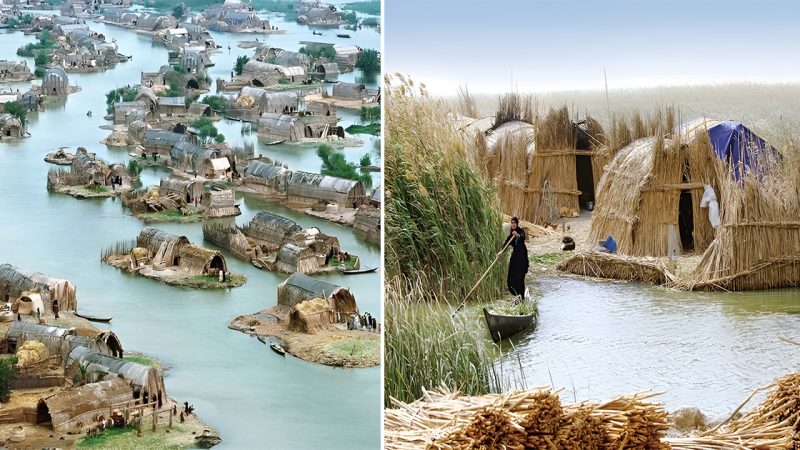 The Mesopotamian Venice: The Lost Floating Homes of Iraq.