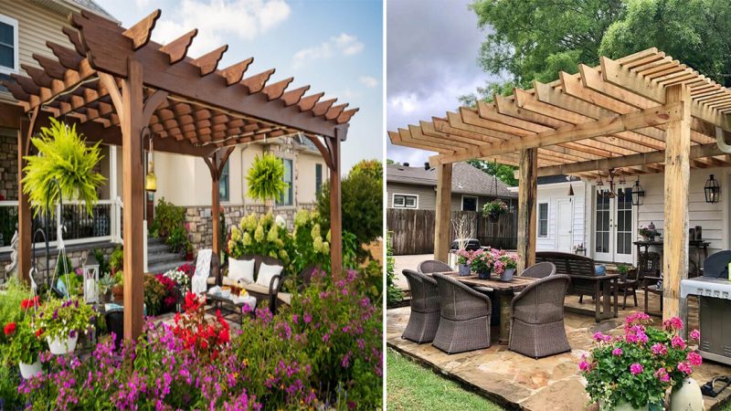 Enhance Your Backyard Oasis: Discover the Elegant and Peaceful Pergola