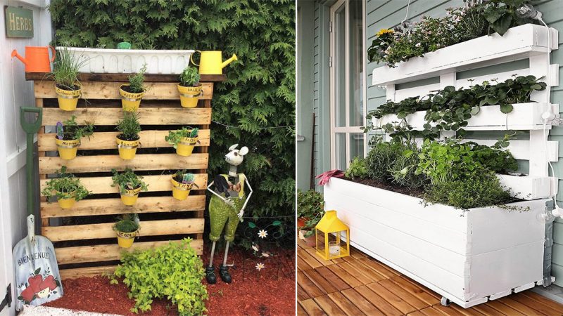 Creative and Decorative Ideas for Wood Pallet Planters: Transform Your Garden into a Stunning Oasis