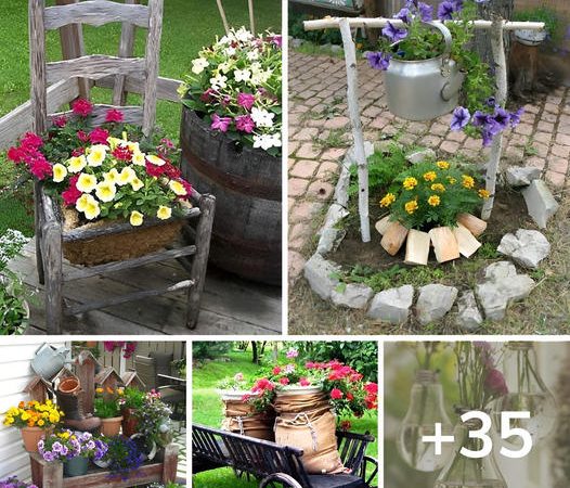 35 Cool Examples of Creative Garden Ideas