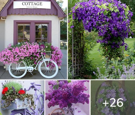 26 Fantastic Purple Garden Decorations