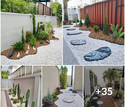 Stone-Clad Serenity: Explore 35 Easy-to-Manage Side Yard Landscaping Ideas for a Thrifty Touch