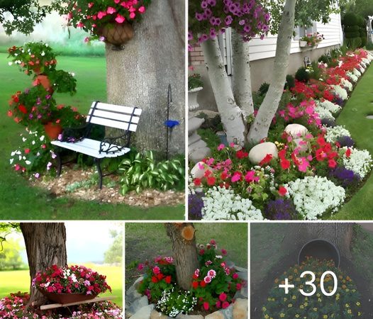 Amazing 30+ flowers under tree ideas for this spring