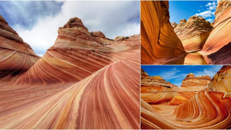 Discover the Mesmerizing Beauty of The Wave: Arizona’s Hidden Sandstone Wonder