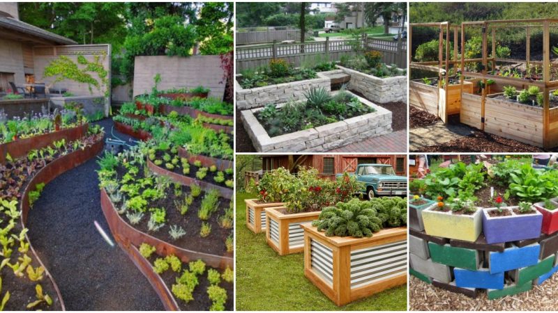 19 Effective Ways to Build a Raised Bed Garden