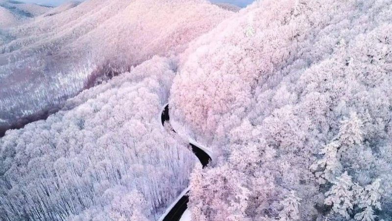 Winter Wonders of Great Smoky Mountains National Park, Tennessee